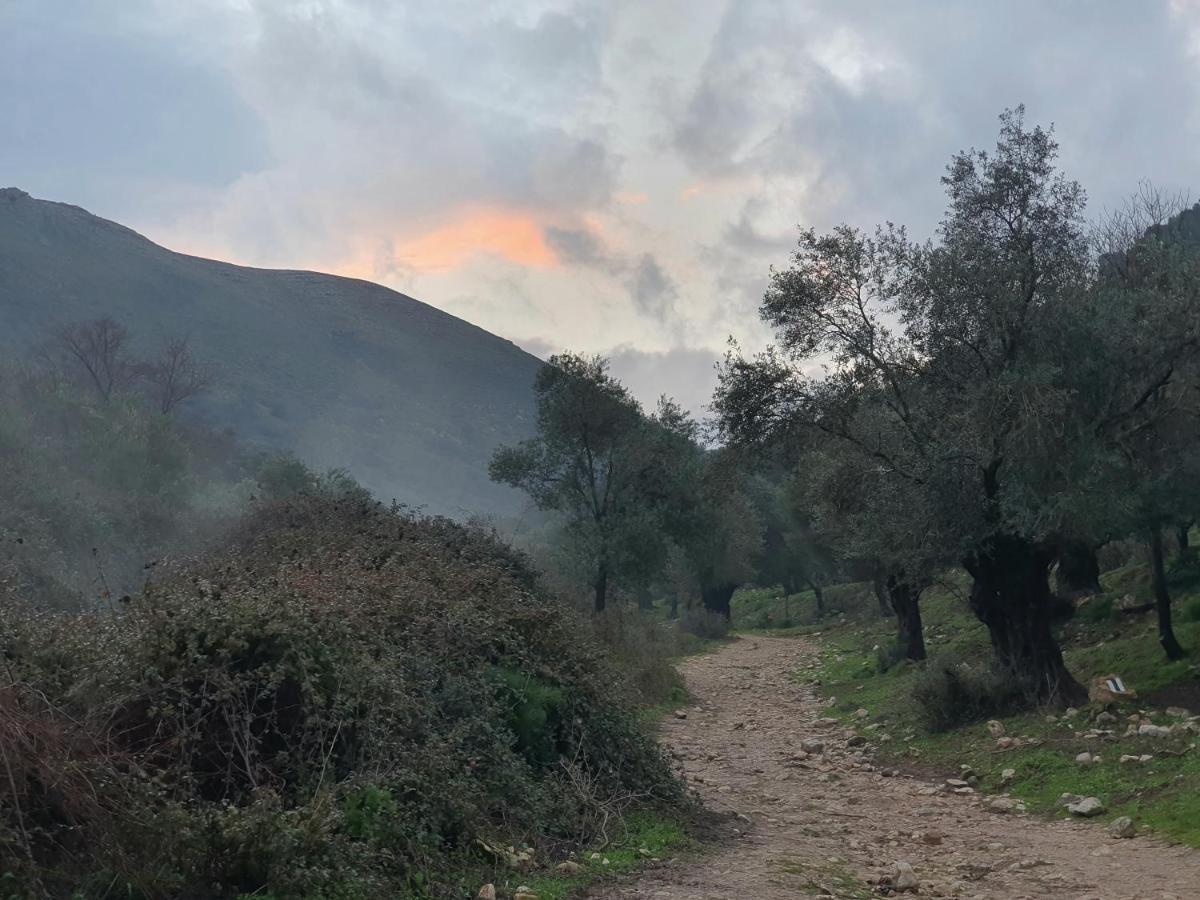 Villa הפינה שלה -Hapina Shella ראש פינה העתיקה Esterno foto